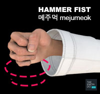 Hammer Fist ( 메주먹 mejumeok )