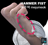 Hammer Fist ( 메주먹 mejumeok )