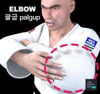 Elbow ( 팔굽 palgup )