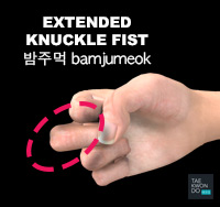 Extended Knuckle Fist ( 밤주먹 bamjumeok )