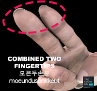 Combined Two Fingertips ( 모은두손끝 moeundusonkkeut )