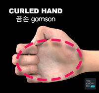 Curled Hand ( 곰손 gomson )