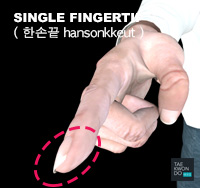 Single Fingertip ( 한손끝 hansonkkeut )