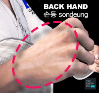 Back Hand ( 손등 sondeung )