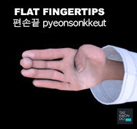 Flat Fingertips ( 편손끝 pyeonsonkkeut )