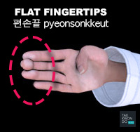 Flat Fingertips ( 편손끝 pyeonsonkkeut )