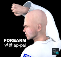 Forearm ( 앞팔 ap-pal )