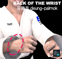 Back of the Wrist ( 등팔목 deung-palmok )