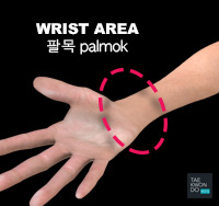 Wrist Area ( 팔목 palmok )