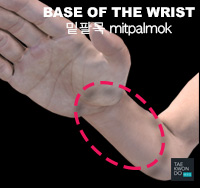 Base of the Wrist or Inner Wrist ( 밑팔목 mitpalmok )