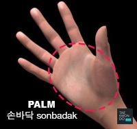 Palm ( 손바닥 sonbadak )