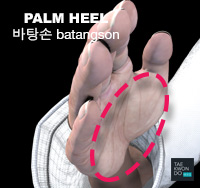 Palm Heel ( 바탕손 batangson )