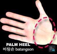 Palm Heel ( 바탕손 batangson )