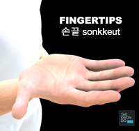 Fingertips ( 손끝 sonkkeut )