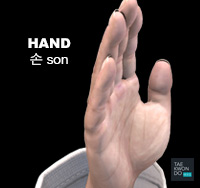 Hand ( 손 son )