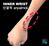 Inner Wrist ( 안팔목 anpalmok )