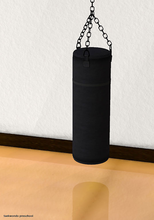 Heavy Bag in the dojang