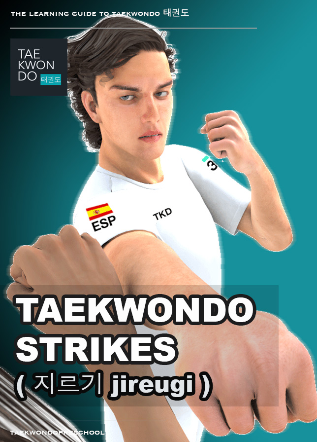 Taekwondo Strikes ( 지르기 jireugi ) Apple Books