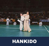 Hankido 한기도 Korean Martial Arts 무술