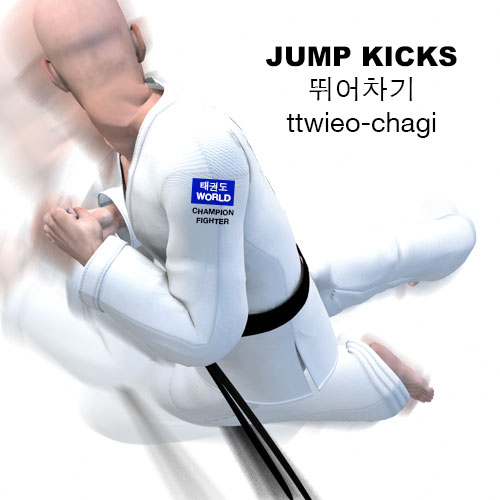 Jump Kicks ( 뛰어차기 ttwieo-chagi )