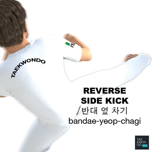 Reverse Side Kick ( 반대 옆 차기 bandae-yeop-chagi )