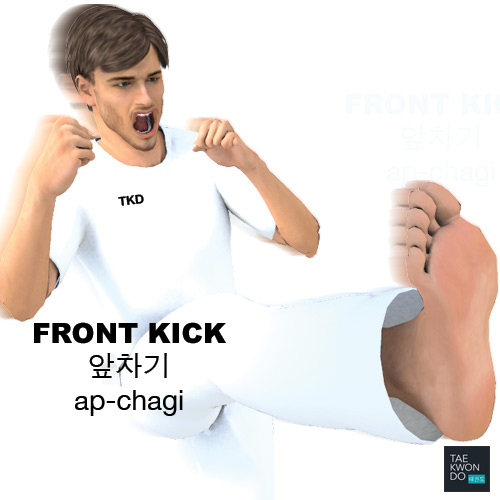 Front Kick ( 앞차기 ap-chagi )