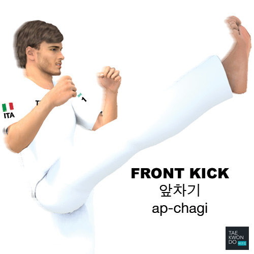 Front Kick ( 앞차기 ap-chagi )