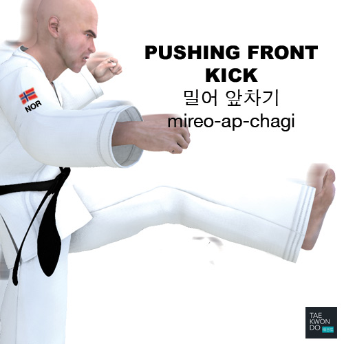 Pushing Front Kick ( 밀어 앞차기 mireo-ap-chagi )