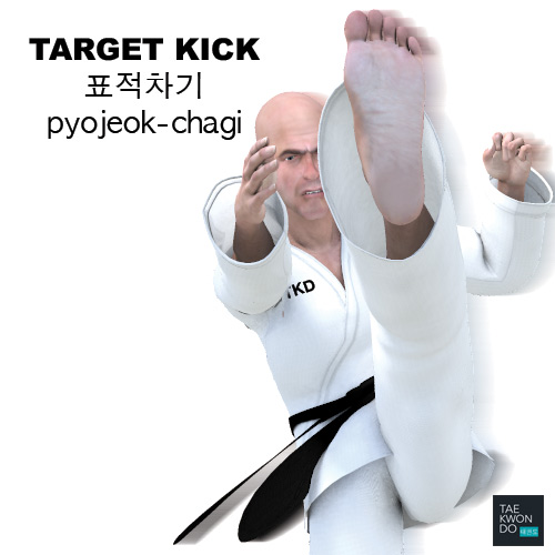 Target Kick ( 표적차기 pyojeok-chagi )