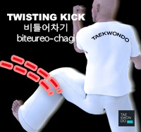 Twisting Kick ( 비틀어차기 biteureo-chagi )