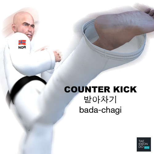 Counter Kick ( 받아차기 bada-chagi )