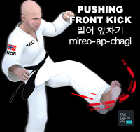 Pushing Front Kick ( 밀어 앞차기 mireo-ap-chagi )