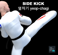 Side Kick ( 옆차기 yeop-chagi )