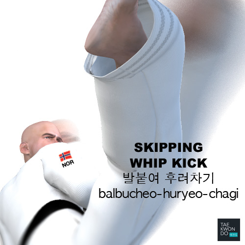 Skipping Whip Kick ( 발붙여 후려차기 balbucheo-huryeo-chagi )