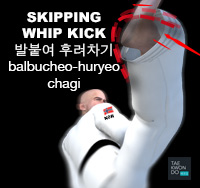 Skipping Whip Kick ( 발붙여 후려차기 balbucheo-huryeo-chagi )