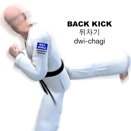 Back Kick ( 뒤차기 dwi-chagi )