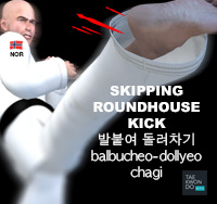 Skipping Roundhouse Kick ( 발붙여 돌려차기 balbucheo-dollyeo-chagi )