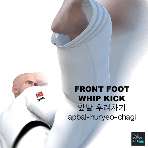 Front Foot Whip Kick ( 앞발 후려차기 apbal-huryeo-chagi )