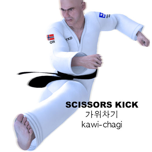 Scissors Kick ( 가위차기 kawi-chagi )