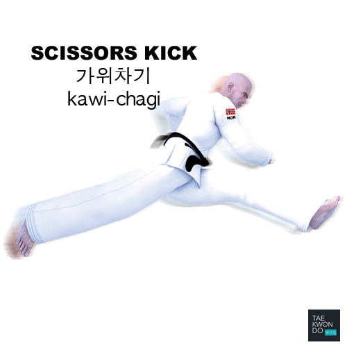 Scissors Kick ( 가위차기 kawi-chagi )