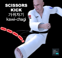 Scissors Kick ( 가위차기 kawi-chagi )