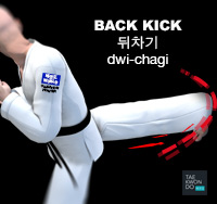 Back Kick ( 뒤차기 dwi-chagi )