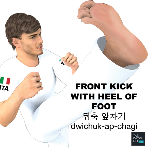 Front Kick with Heel of Foot ( 뒤축 앞차기 dwichuk-ap-chagi )