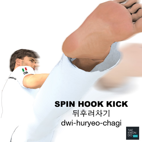 Spin Hook Kick ( 뒤후려차기 dwi-huryeo-chagi )