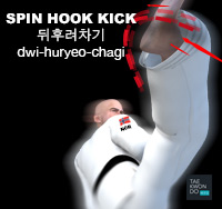 Spin Hook Kick ( 뒤후려차기 dwi-huryeo-chagi )