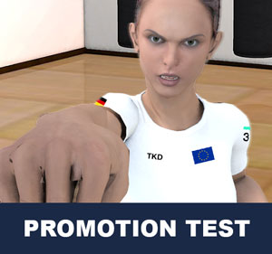 Taekwondo Promotion Test