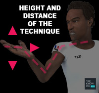 Taekwondo Common Mistakes Height Level and Distance of the Technique