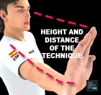 Taekwondo Common Mistakes Height Level and Distance of the Technique