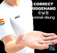 Taekwondo Common Mistakes - Ridgehand Posture