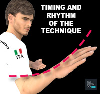 Taekwondo Common Mistakes Timing and Rhythm of the Technique